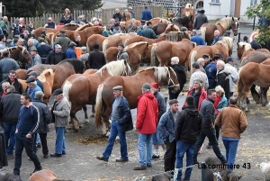 La Foire aux chevaux de Fay-sur-Lignon, c&#039;est jeudi 20 octobre forcément