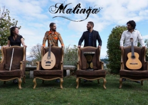 Monistrol-sur-Loire : le concert de Malinga annulé