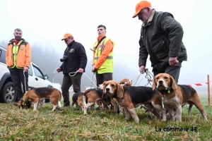 Quatorze équipages de chiens courants ce week-end entre Yssingeaux, Lizieux et Meygal
