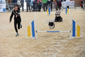 Yssingeaux : 107 enfants et leurs chiens à la finale des championnats de France junior d&#039;agility