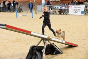 Yssingeaux : 107 enfants et leurs chiens à la finale des championnats de France junior d&#039;agility