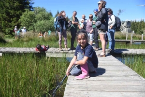 Mille façons de découvrir les amphibiens cet été à Freycenet-la-Tour