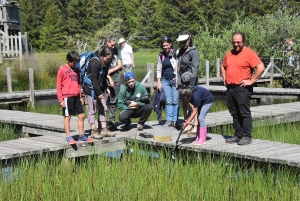 Mille façons de découvrir les amphibiens cet été à Freycenet-la-Tour