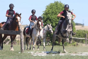 Bas-en-Basset : un défilé déguisé de 80 chevaux et cavaliers samedi à l'occasion du Caval Trophy