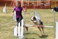 Monistrol-sur-Loire : l&#039;agility réclame une parfaite cohésion entre le maître et son chien