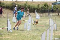 Monistrol-sur-Loire : l&#039;agility réclame une parfaite cohésion entre le maître et son chien