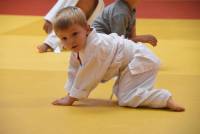 Yssingeaux : les jeunes judokas deviennent fidèles