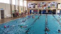 Fin d&#039;année détendue pour l&#039;école municipale de natation