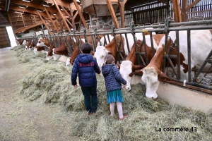 De Ferme en ferme : 38 exploitations à visiter ce week-end en Haute-Loire, dont 14 nouvelles