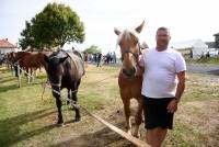 Saint-Jeures : seulement dix juments au concours de chevaux lourds