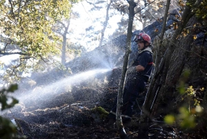 Malrevers : près d&#039;un hectare de sous-bois brûlé au suc de Garde