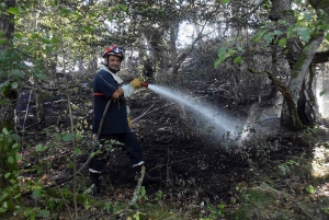 Malrevers : près d&#039;un hectare de sous-bois brûlé au suc de Garde