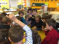 Saint-Pal-de-Mons : les écoliers découvrent les variétés de pommes