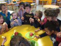 Saint-Pal-de-Mons : les écoliers découvrent les variétés de pommes