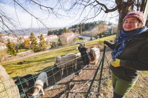 Le Puy-en-Velay : la vie continue à la Ferme D4 Saisons avec la naissance d&#039;un chevreau