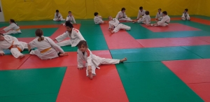 Deux jours de stage pour le Judo Club Brivois