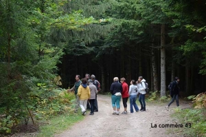 Monistrol-sur-Loire : des randonnées chaque lundi en campagne pour les retraités