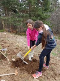 Saint-Jeures : les écoliers plantent la forêt des enfants