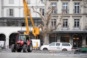 Puy-en-Velay : 9 platanes disparaissent de la place du Breuil