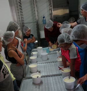Bas-en-Basset : les écoliers de Louise-Michel fabriquent leur fromage à la ferme Chapuis