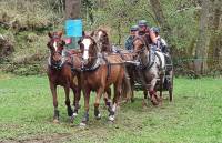 Un concours national de chevaux d&#039;attelage ce week-end au Puy-en-Velay