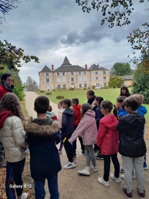 Yssingeaux : les écoliers de Jean-de-la-Fontaine étudient les arbres au château de Lavée