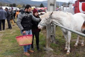 Bas-en-Basset : la foule des grands jours à la Foire aux ânes
