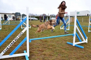 Yssingeaux : deux jours d&#039;agility au Club canin des Sucs