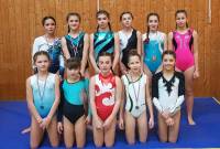 Gymnastique : deux titres départementaux pour Yssingeaux