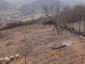 Un Ponot veut aider son village natal en Kabylie ravagé par les incendies