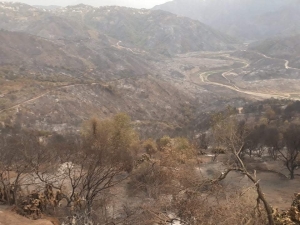 Un Ponot veut aider son village natal en Kabylie ravagé par les incendies