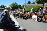 La célèbre Fête de la chèvre le dimanche 16 juillet.