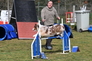 Malvalette : le concours canin d&#039;agility a attiré 40 concurrents