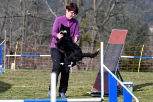 Malvalette : le concours canin d&#039;agility a attiré 40 concurrents