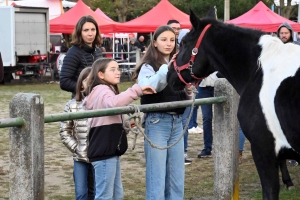 Bas-en-Basset : 500 exposants et des milliers de visiteurs sur la Foire aux ânes