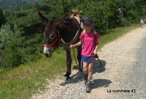 Sept jours d&#039;itinérance à pied avec deux ânes bâtés dans les gorges de la Loire