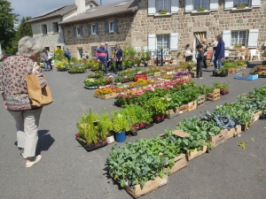 Un marché aux plantes à Chenereilles jusqu&#039;à 17 heures ce dimanche