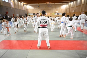 Saint-Just-Malmont : un champion olympique invité pour les 40 ans du club de judo