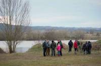 Une sortie sur les étangs de Bas-en-Basset avec les Rencontres naturalistes
