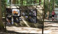 Le Chambon : une exposition photos au milieu des arbres du parc aventure