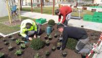 Yssingeaux : le lycée George-Sand utilise du « végétal local » en espaces verts