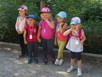 Grazac : les écoliers au safari de Peaugres