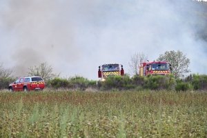 Un nouveau feu de végétation détruit 5000 m2 et menace plusieurs maisons (vidéo)