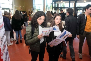 Plus de 7 bacheliers sur 10 poursuivent les études dans la Loire ou la Haute-Loire
