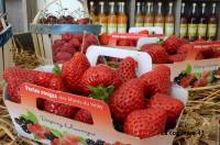 Vos fruits rouges en direct : une boutique ouverte à Saint-Jeures tout l’été