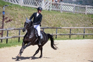 Equitation : au CSO d&#039;Yssingeaux, Alexandre Louchet finit premier... et deuxième