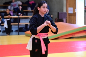 Un tournoi de viet vo dao a concerné les enfants au dojo à Yssingeaux
