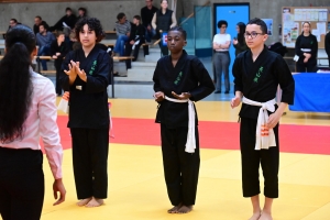Un tournoi de viet vo dao a concerné les enfants au dojo à Yssingeaux