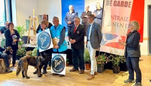 Deux médailles pour le Club canin des Sucs aux championnats de France de sauvetage