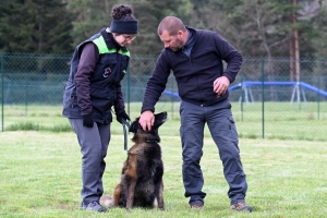 Yssingeaux : blessé, il sera remplacé aux championnats du monde canins... par sa fille